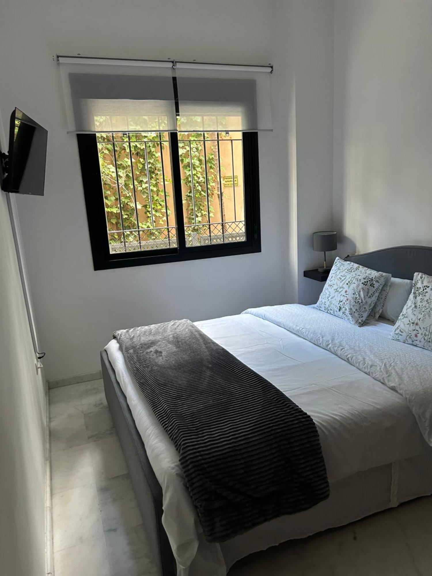Apartamento Proximo Al Centro De 2 Dormitorios Con Piscina. 塞维利亚 外观 照片